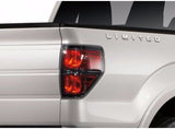 Calavera Ford F-150 2009-2014