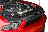 Mustang Tolva/cubierta De Radiador Fibra De Carbon 10-12