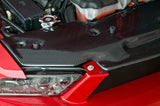 Mustang Tolva/cubierta De Radiador Fibra De Carbon 10-12